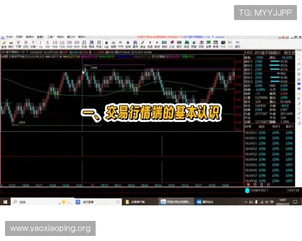 亚星一比一游戏模型价格行情及购买建议,帮助玩家理性投资与收藏 亚星一比一游戏模型价格行情及购买建议,帮助玩家理性投资与收藏
